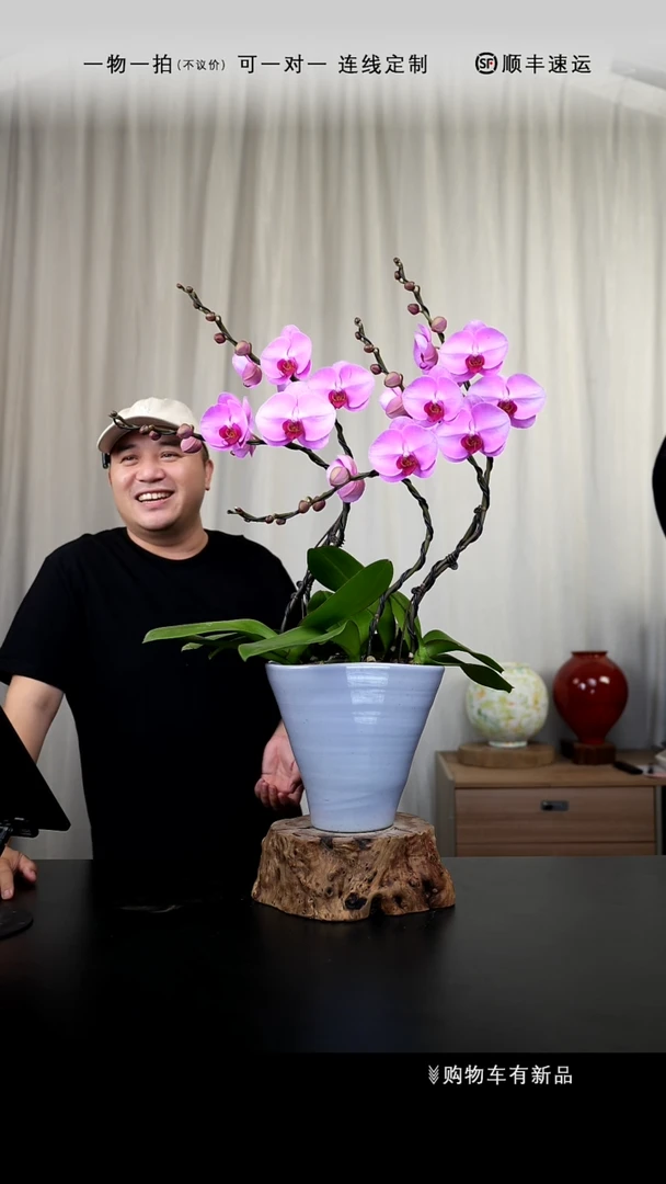 【闪购商品】047号链接【一物一拍】艺术盆景