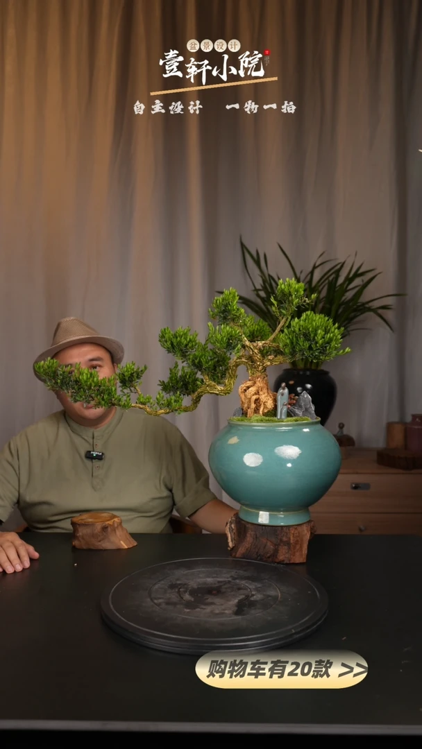 【闪购商品】128【一物一拍】艺术盆景
