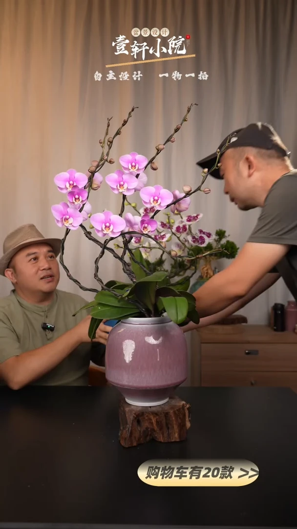 【闪购商品】205【一物一拍】艺术盆景