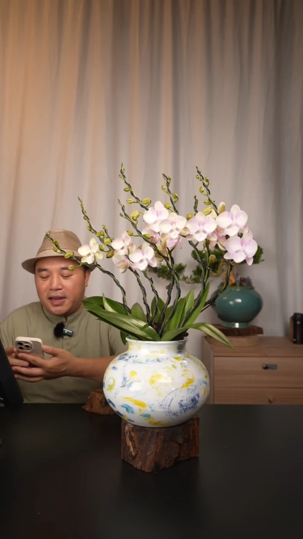 【闪购商品】131链接【一物一拍】艺术盆景