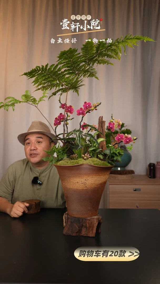 【闪购商品】【一物一拍】艺术盆景