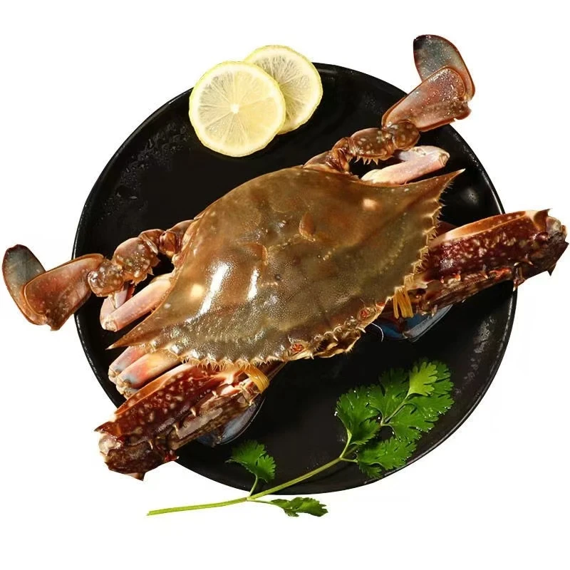 【保鲜不保活】梭子蟹1斤 约2只4-5两一只（含绳子） 活的发出  梭子蟹同城