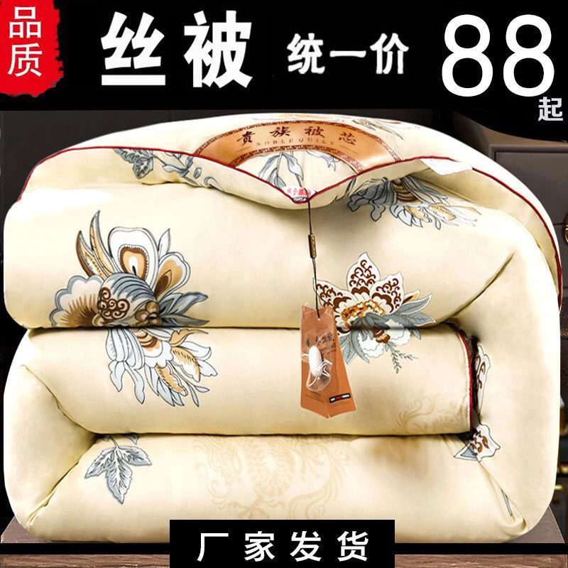 加厚冬被桑丝棉被芯保暖冬天被子春秋冬款空调被双人冬季棉被褥子