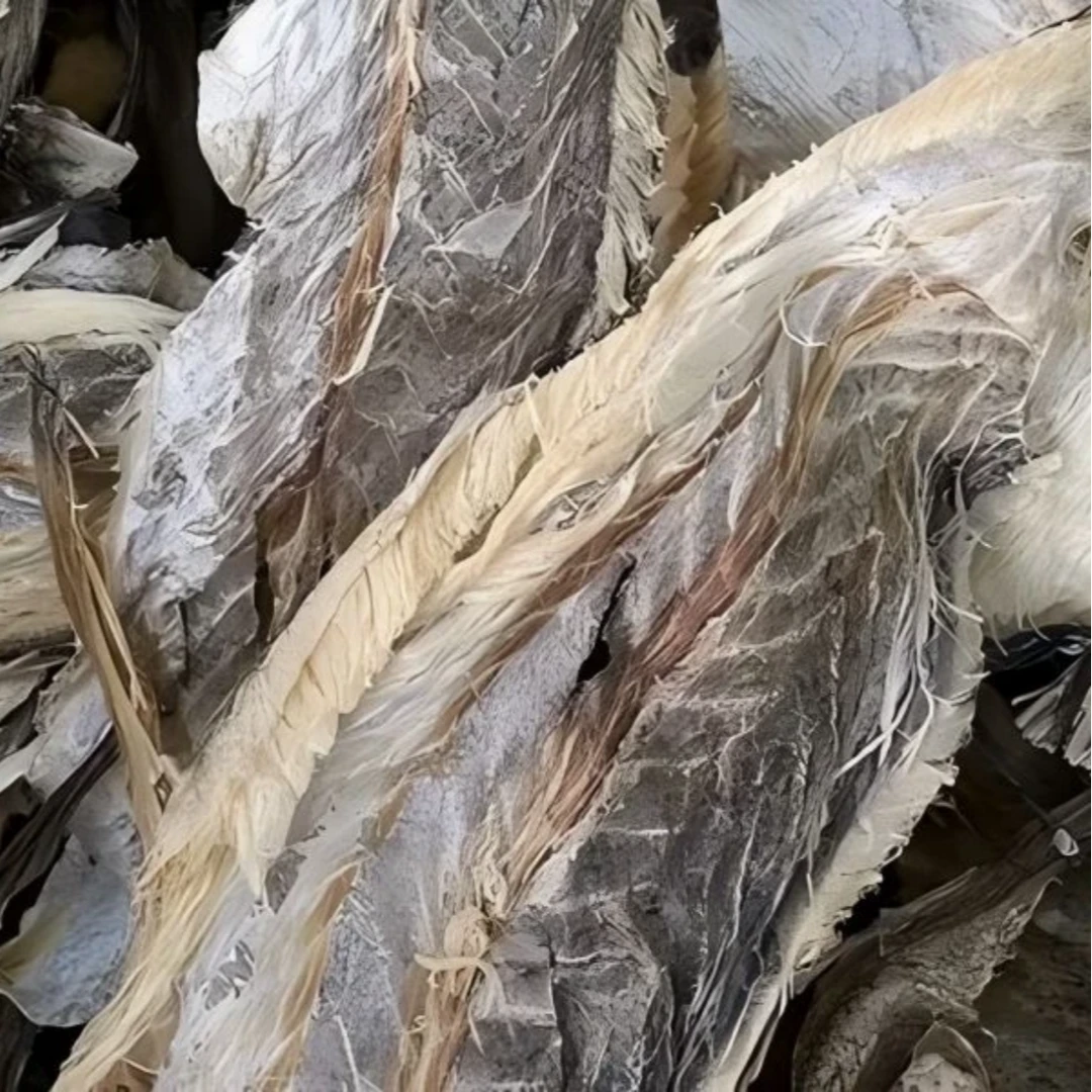 干明太鱼皮干明太鱼骨头