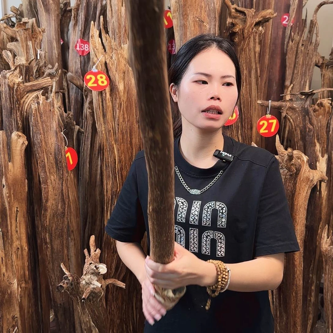 沉香摆件天然沉香原木摆件➕底座
