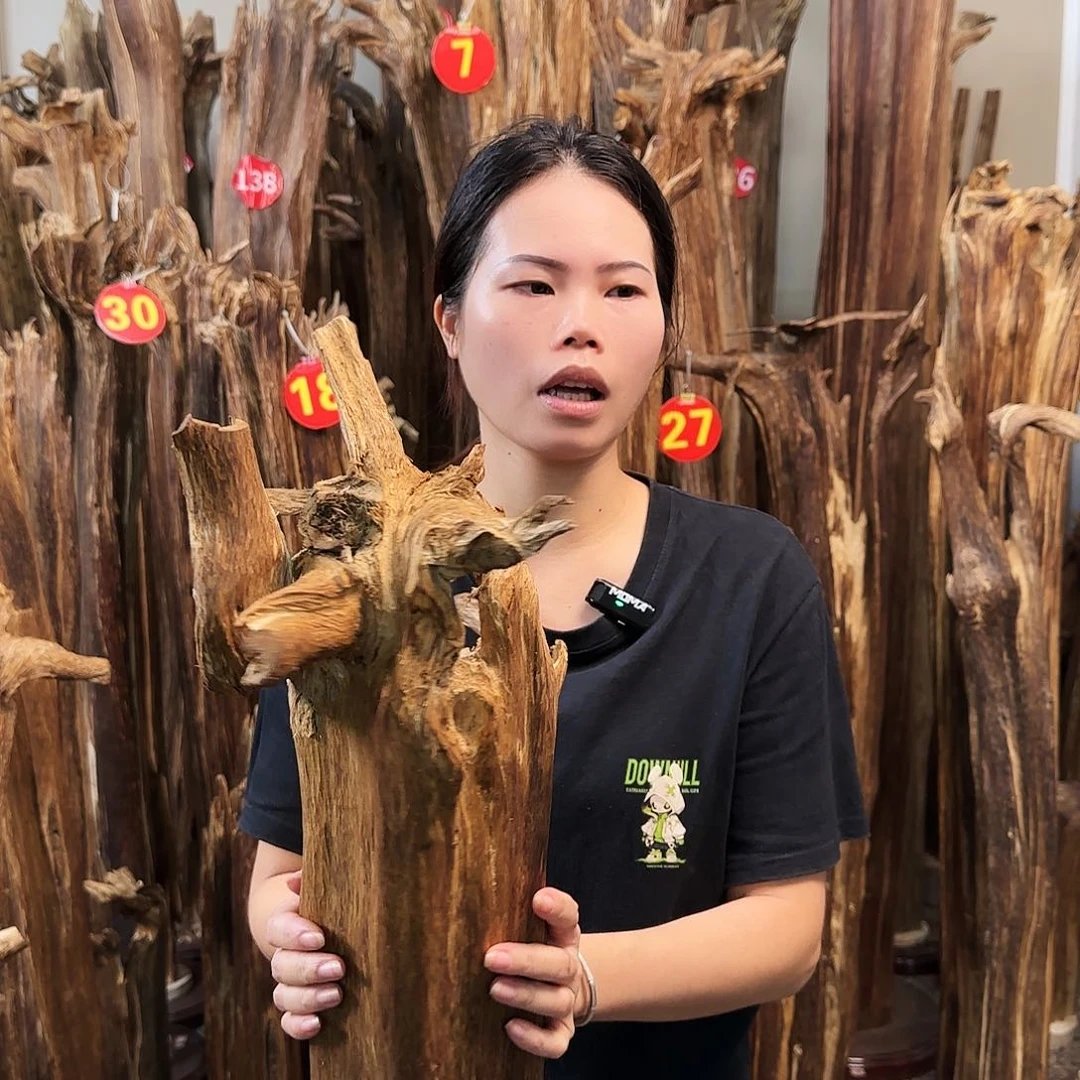 沉香摆件天然沉香原木摆件➕底座