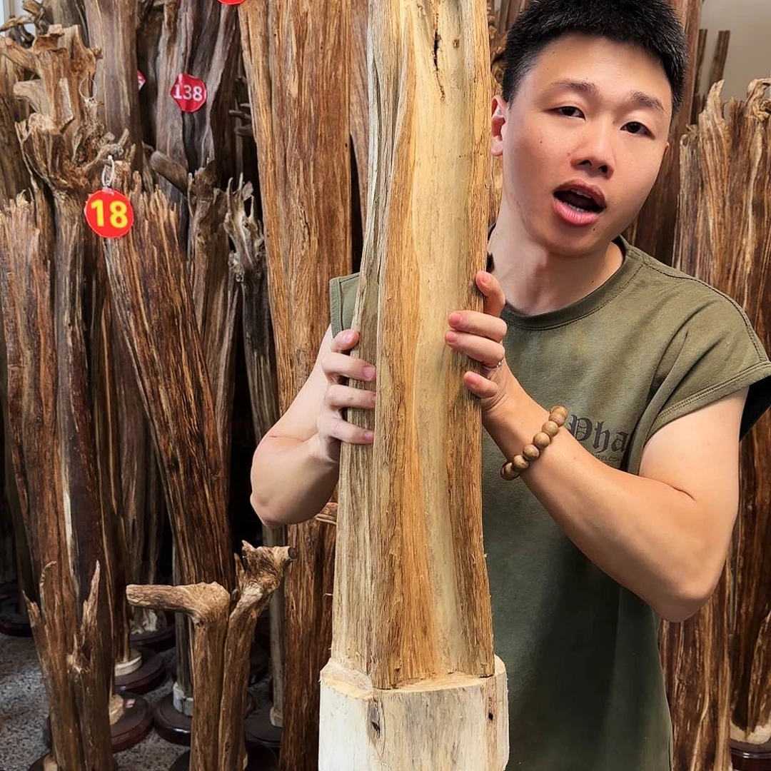 沉香摆件天然沉香原木摆件➕底座