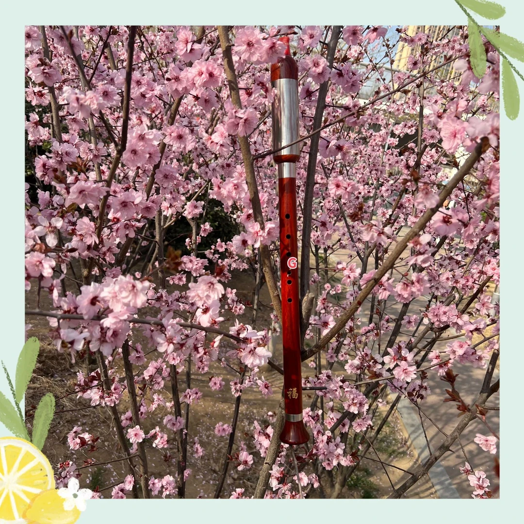 巴乌、演奏款巴乌、教学考级用巴乌