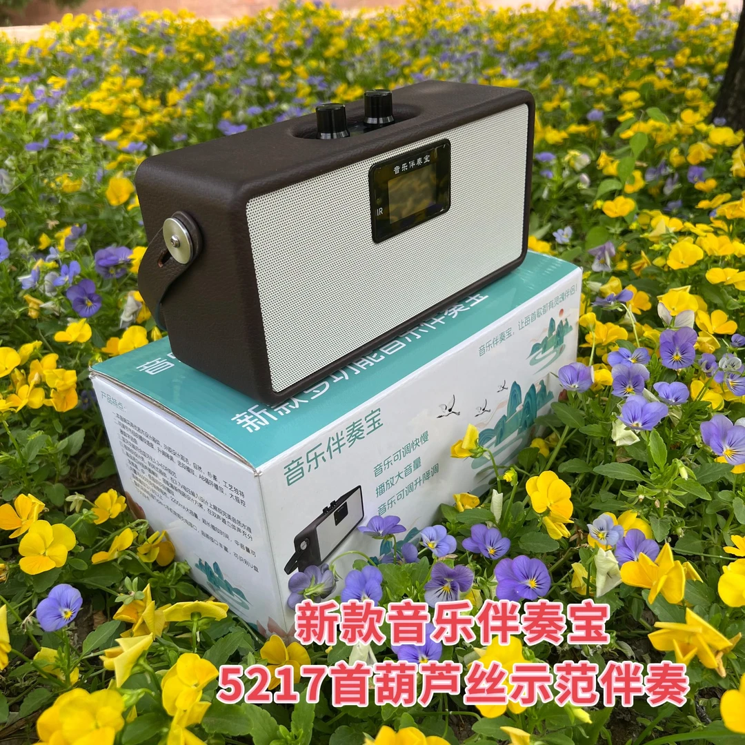 葫芦丝伴奏宝工艺葫芦丝学习机葫芦丝变调可调优质音质