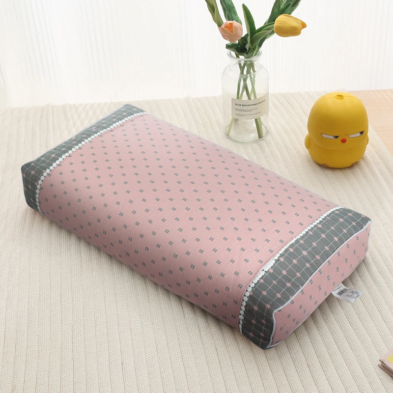 繁星系列30*55荞麦大方枕高端定制成人家用环保透气柔软防螨可拆