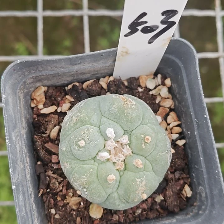 海鲜海鲜海鲜海鲜