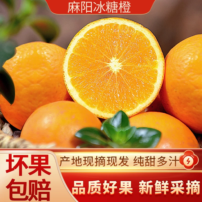【现摘现发冰糖橙】果园直发湖南麻阳冰糖橙坏果包赔新鲜水果冰糖橙