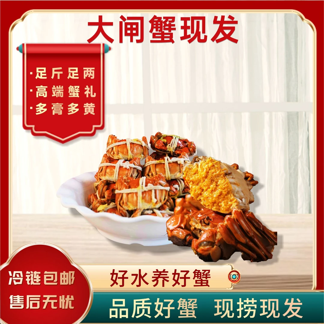 【活蟹现发】苏州精品大闸蟹全母2.3-2.0两10只+2只顺丰京东冷链