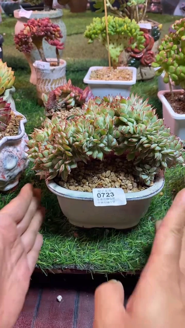 【闪购商品】0723