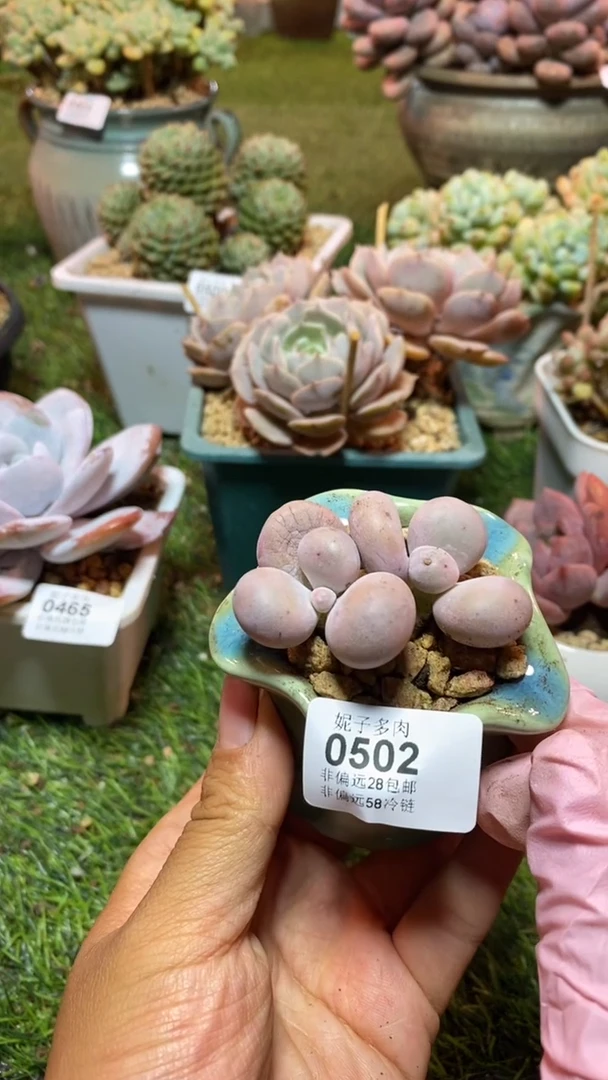 【闪购商品】0502