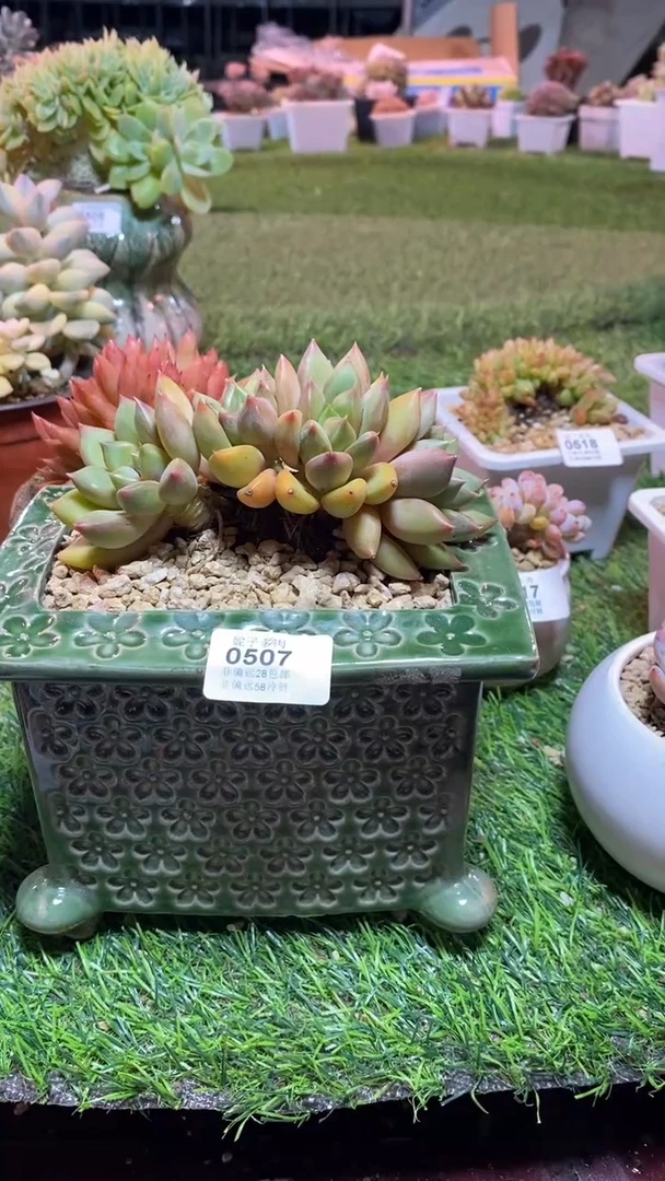 【闪购商品】0507