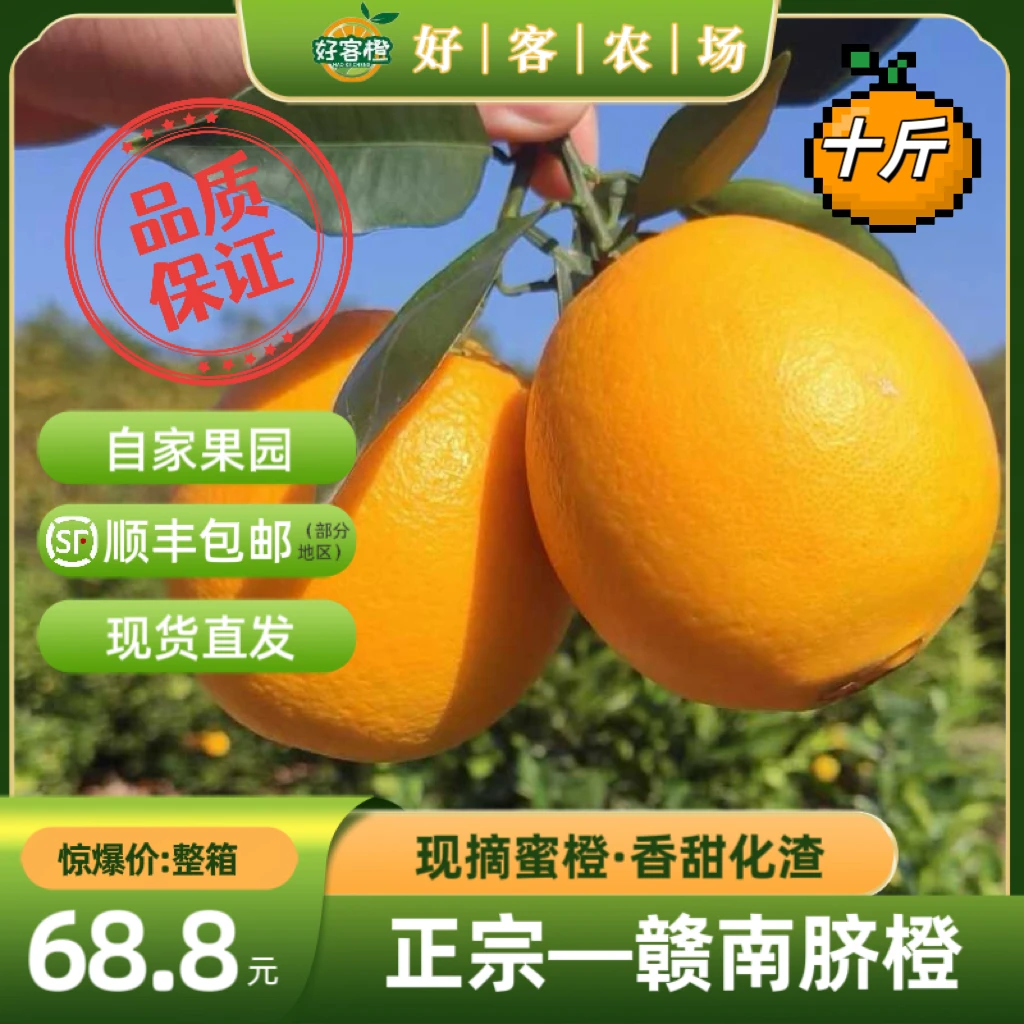 【正宗脐橙】赣南现摘现发 南农园艺校友自家农场包甜 顺丰部分包邮