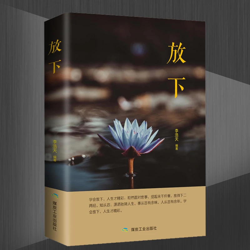 【正版】放下 人生哲学通俗读物不抱怨的爱上生命中的青春励志书籍