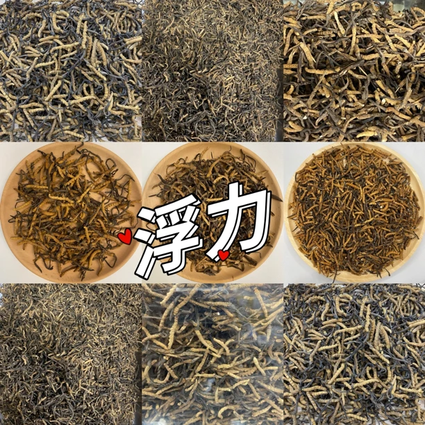 【国庆专场】丛丛 1900条/斤  可搭红枣煲汤