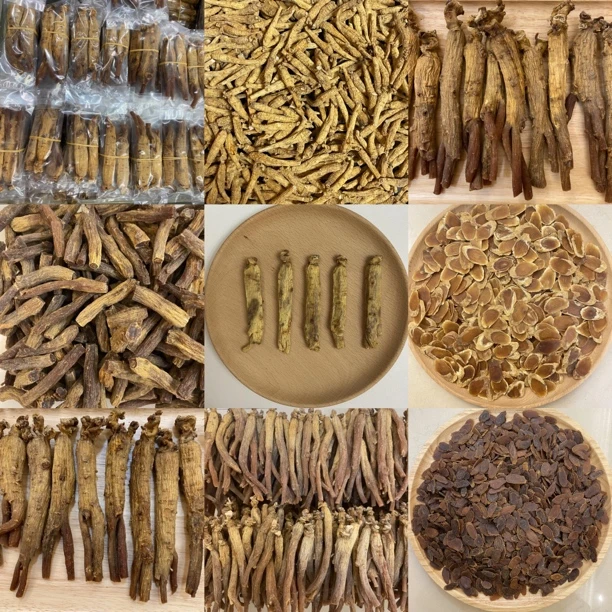 【切参】高俪切参 人参（一）