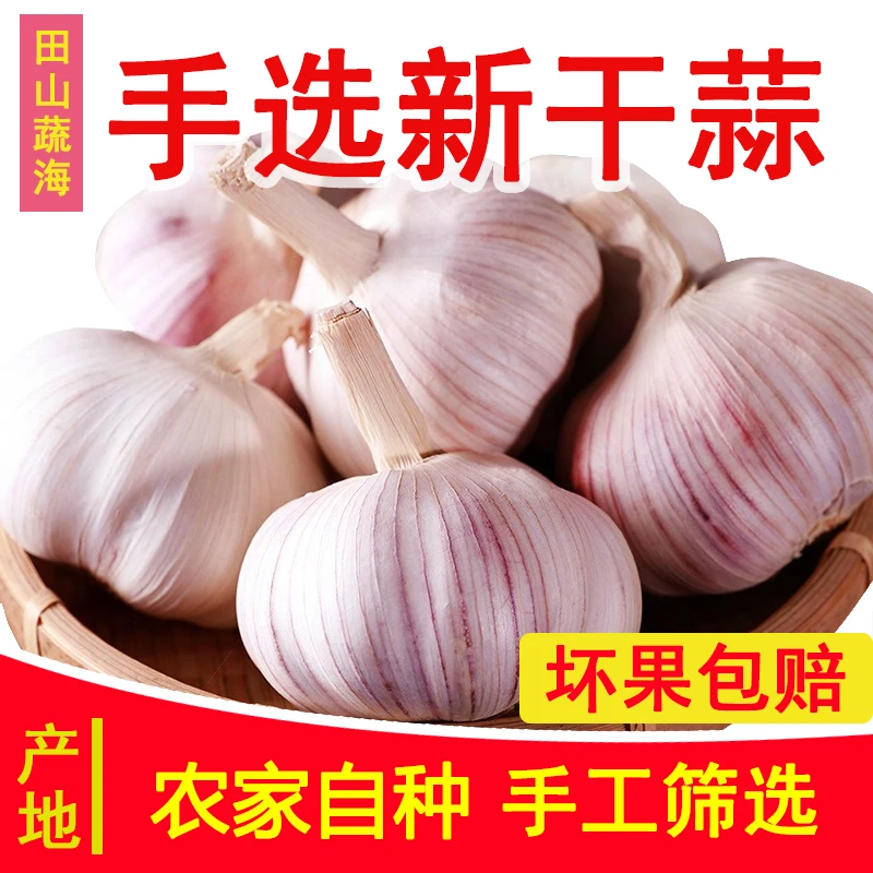 农家新干蒜大蒜大蒜头新鲜紫白皮河南大蒜头可种1斤2斤3斤5斤9斤