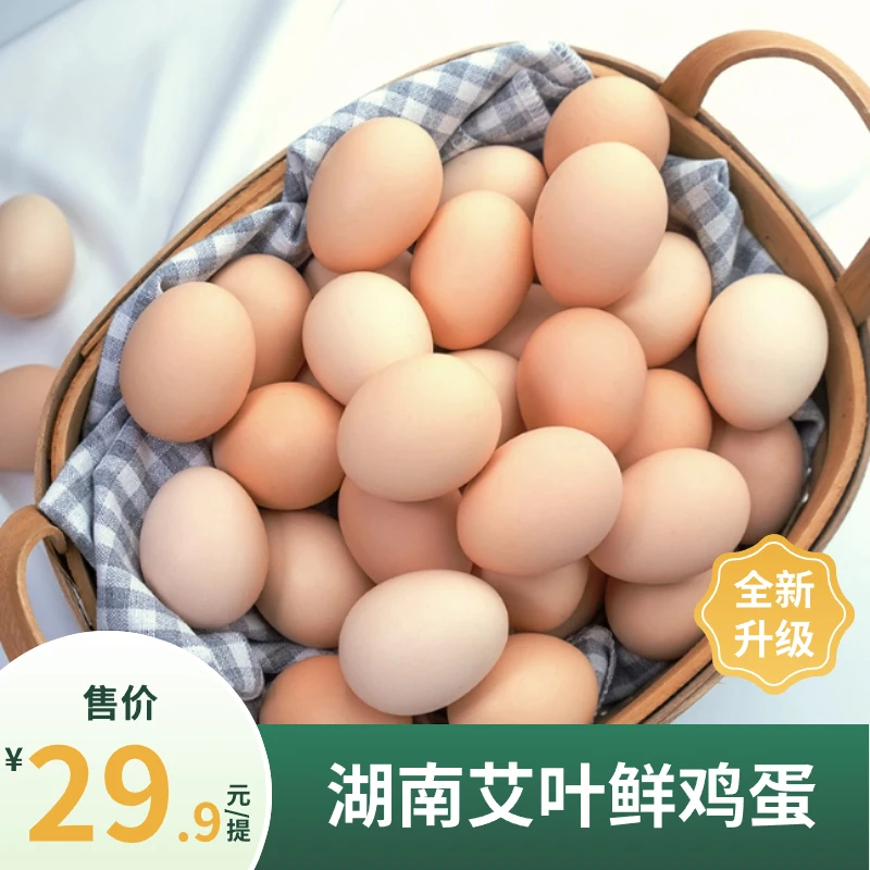 365枚/10盒 湖南林熹湘丹丹艾叶鲜鸡蛋艾叶鸡蛋   约21kg
