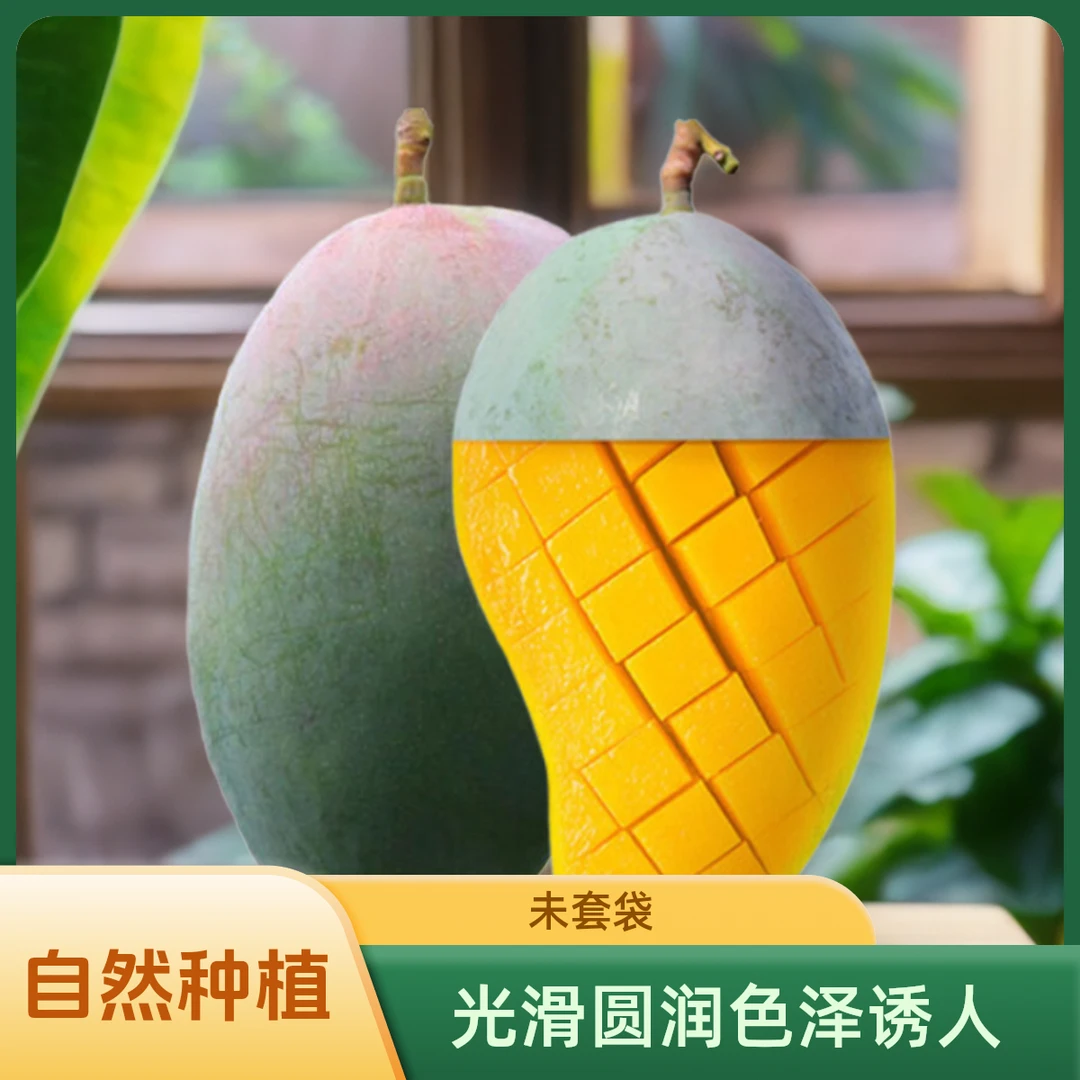 正宗攀枝花凯特芒果新鲜水果多汁肉厚带箱9.5-10斤【催熟食用】