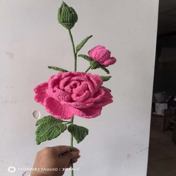 草蔷薇钩织线上教程