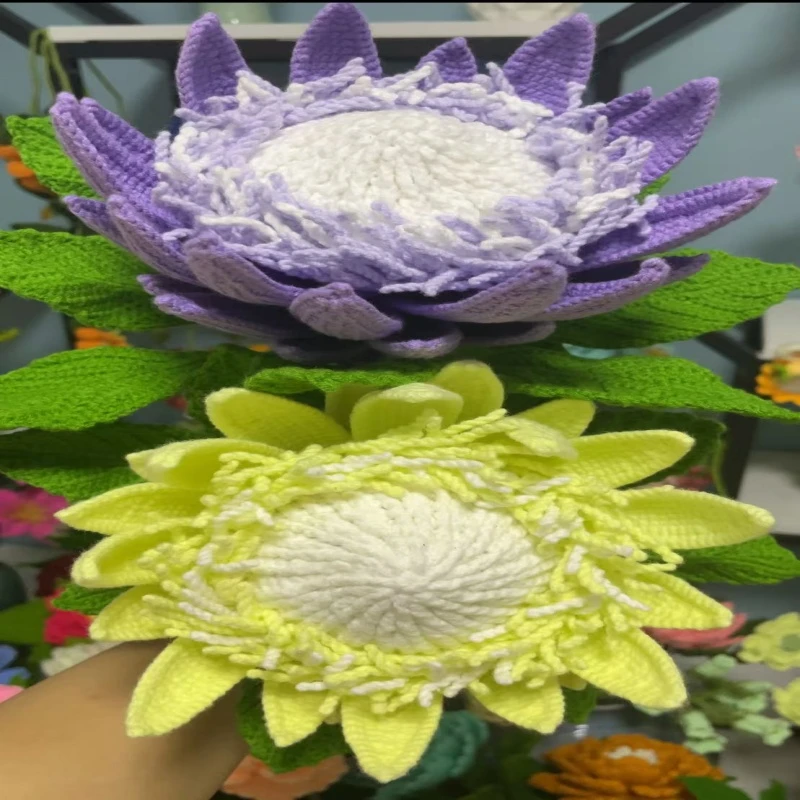 超帝王花视频教程（分销）