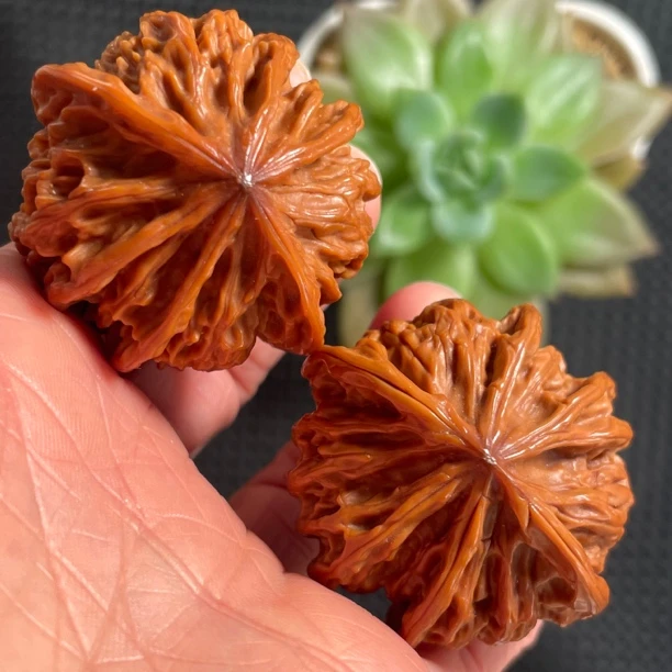 灯笼狮子头六棱43