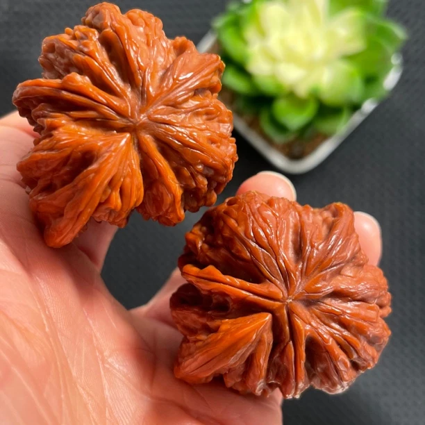 磨盘狮子头犀角44