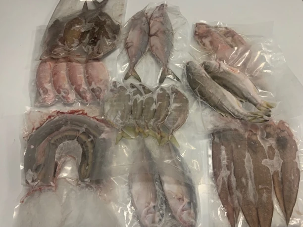 杂鱼混拍 5个品种