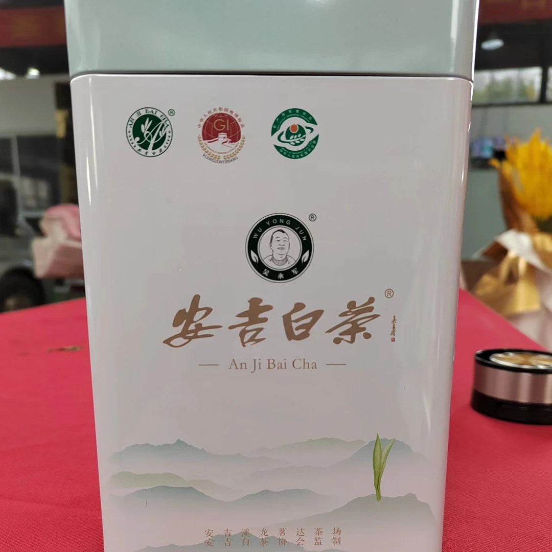 2023年春茶新茶508手工白茶