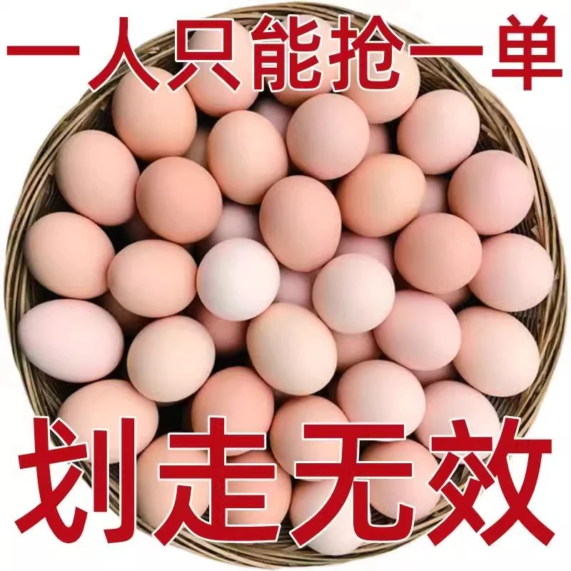 谷物蛋小鸡蛋新鲜土鸡蛋当日新鲜土鸡蛋原生态柴鸡新鲜土鸡蛋营养