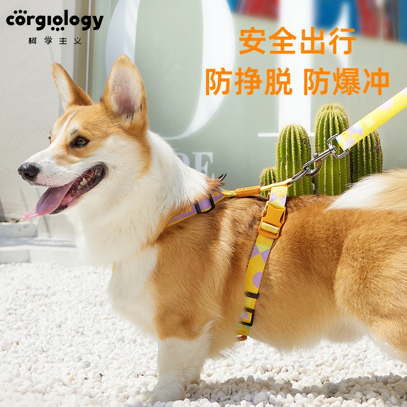 狗狗牵引绳防挣脱外出柴犬柯基专用宠物用品网红遛狗绳子胸背带
