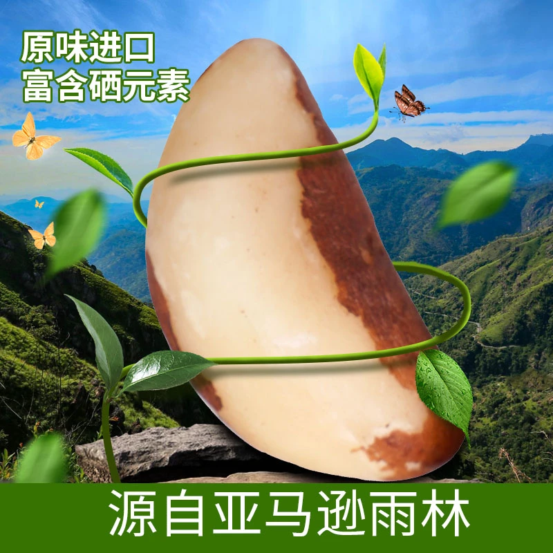 鲍鱼果巴西进口坚果补硒保价囤货满减满赠让利产地直发零食解馋