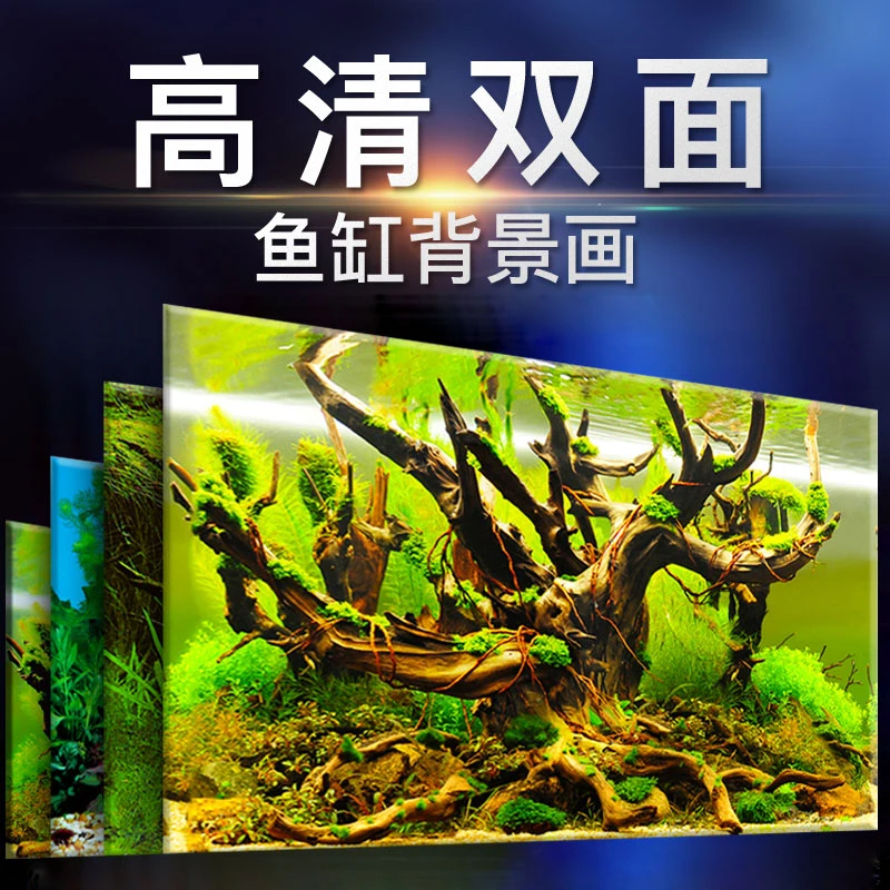 鱼缸蓝色背景纸蓝白渐变小型背部创意双面5d立体鱼缸贴纸缸外自粘