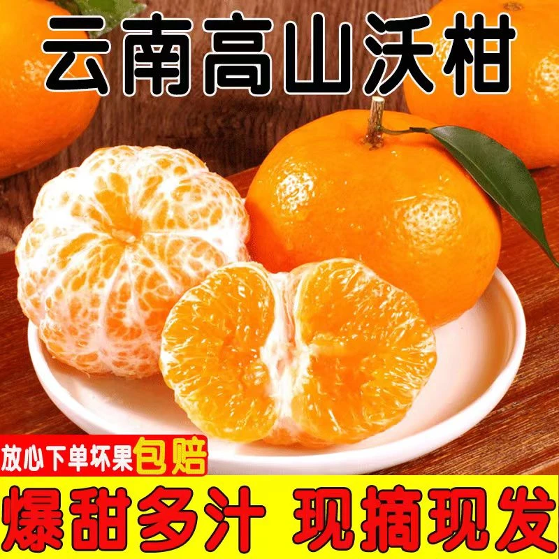 云南沃柑 新鲜采摘皮薄多汁 品质包邮