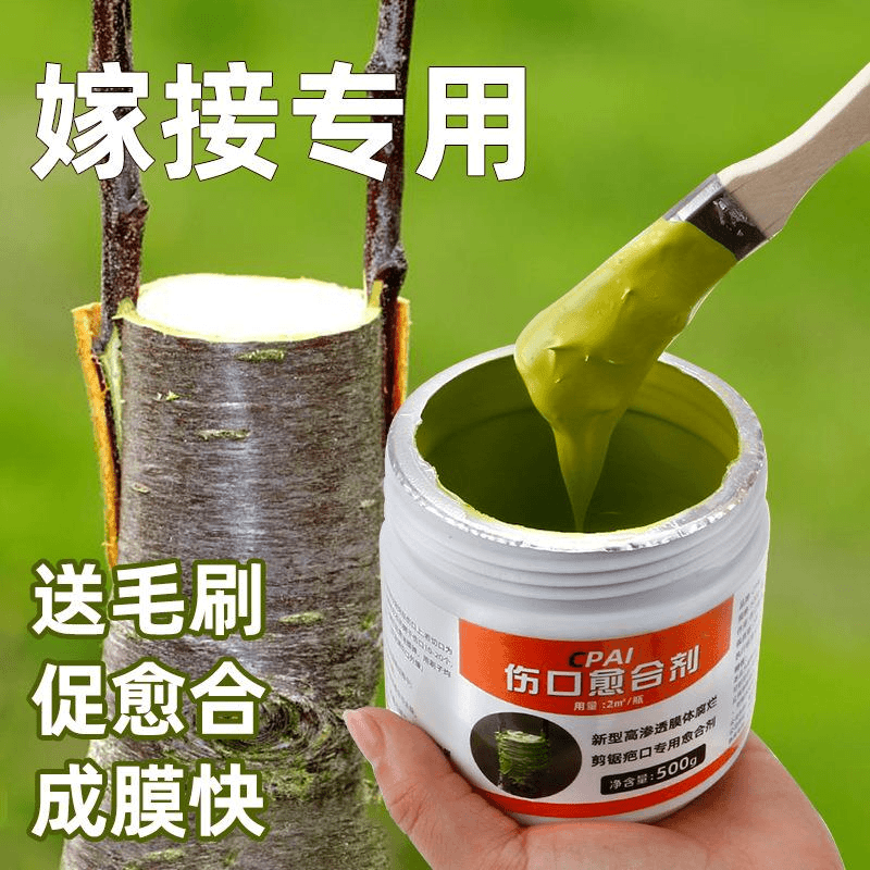 树木伤口愈合剂树干涂补剂盆景树皮涂膜剂果树嫁接切口修复涂抹剂