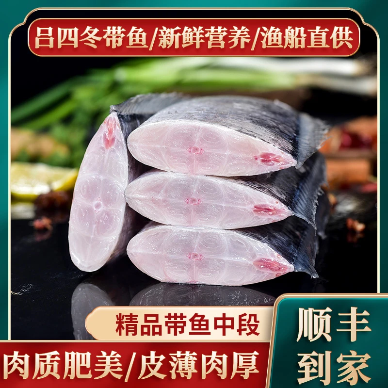 深海鲜带鱼中段5斤5盒 500g/盒新鲜去头冷冻锁鲜真空包装肉质鲜美