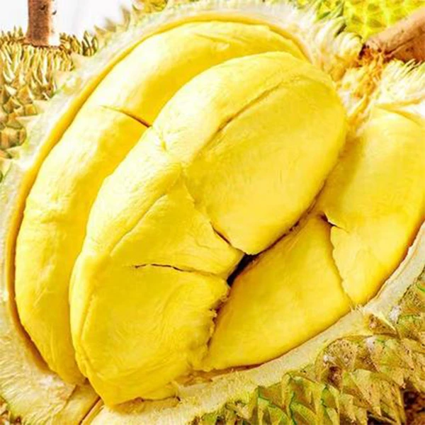 3.5斤-4斤哈尔滨同城水果小时达新鲜A级榴莲金枕（保40%出肉）