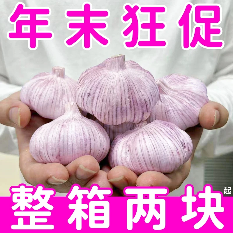 放假清仓】大蒜头批发干蒜紫皮大蒜头干蒜5斤特大新鲜农家自卖150g