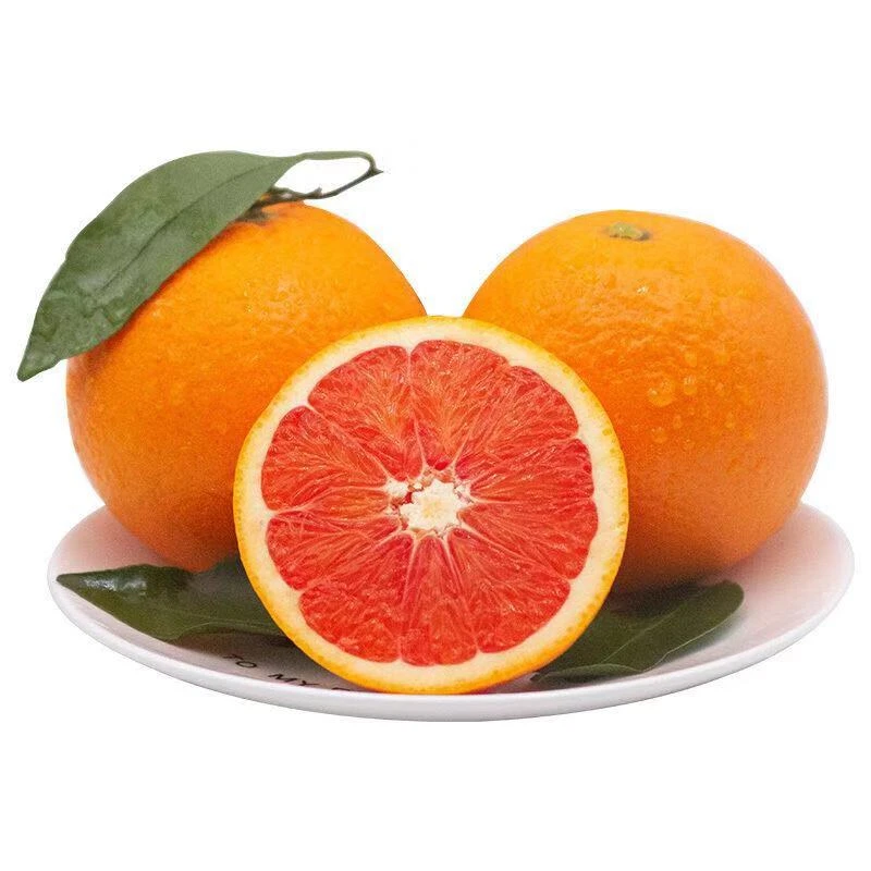 清江味道湖北秭归应季水果中华红血橙现摘现发5斤/9斤包邮