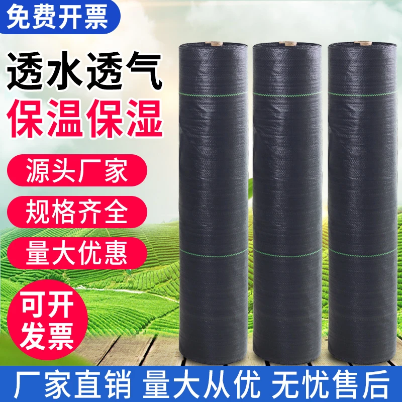 防草布除草布果树果园大棚农用加厚盖草抑草遮草透气透水地布薄膜