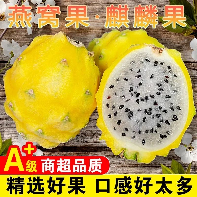 顺丰包邮海南新鲜燕窝果麒麟果4斤礼盒装送礼香甜多汁产地直发
