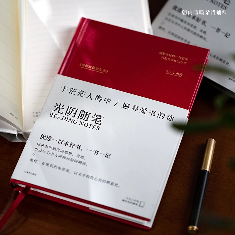 朝雨 100本好书推荐读书笔记本本子高颜值文艺简约好词好句摘抄本