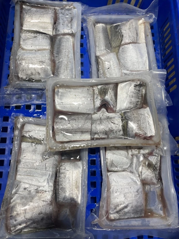 神泉本港带鱼广东省内顺丰包邮