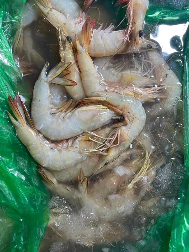神泉本港白刺虾顺丰包邮发5包4斤
