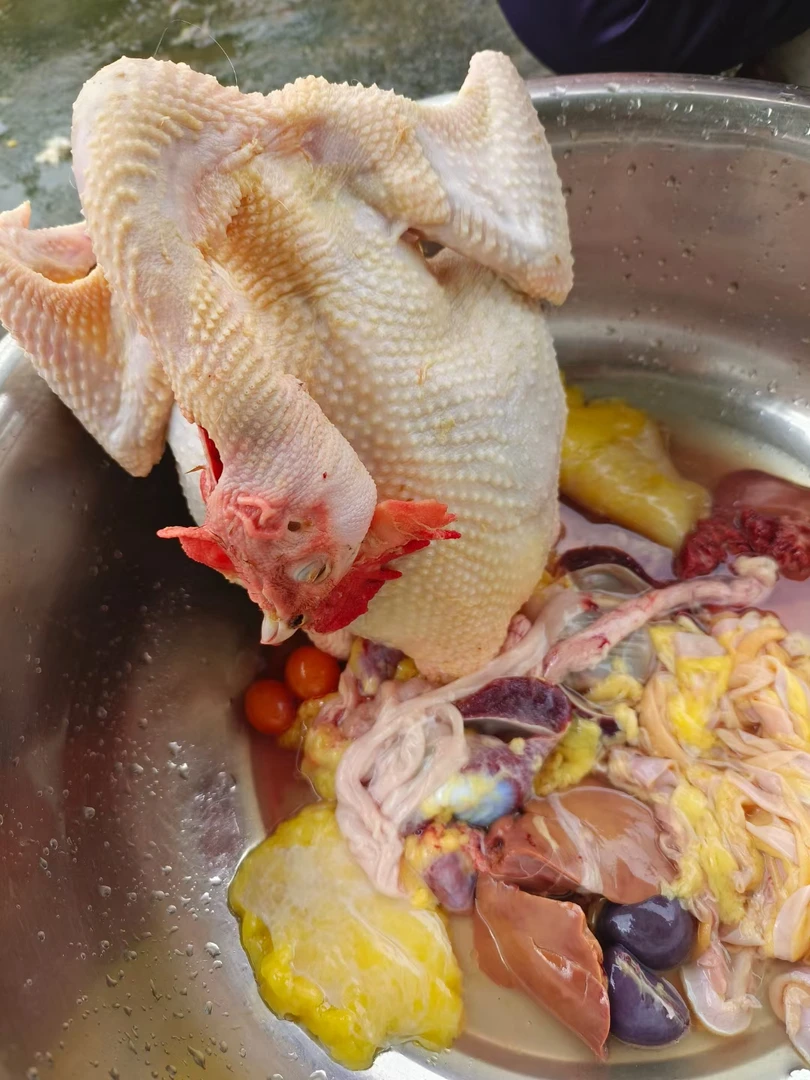 顺丰包邮现杀土鸡母鸡整鸡带内脏净重1500克以上一只高山放养