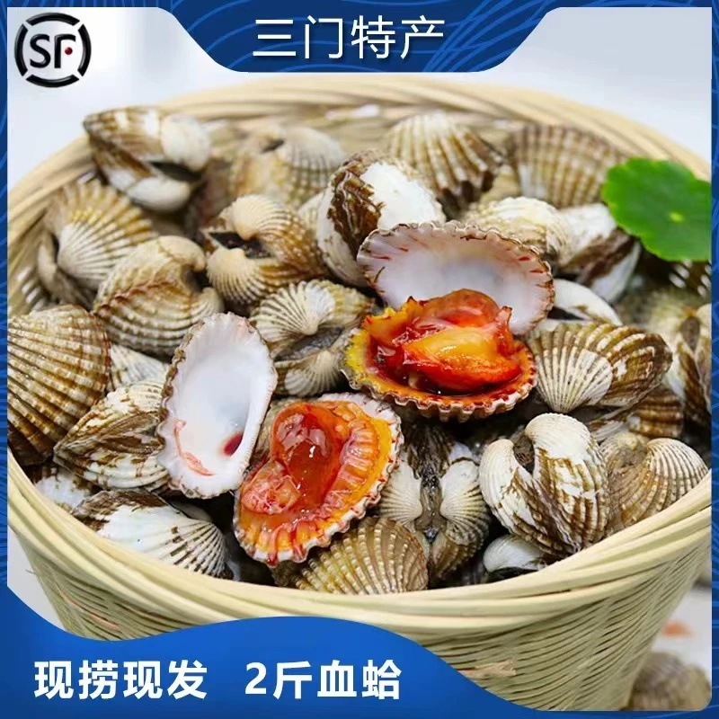 【七小鲜】正宗三门血蛤 新鲜贝类 水产海鲜礼盒血蚶血蛤 2斤装鲜活